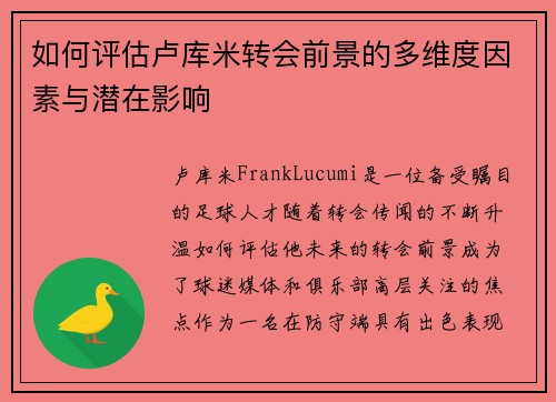 如何评估卢库米转会前景的多维度因素与潜在影响