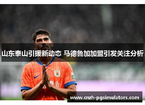 山东泰山引援新动态 马德鲁加加盟引发关注分析