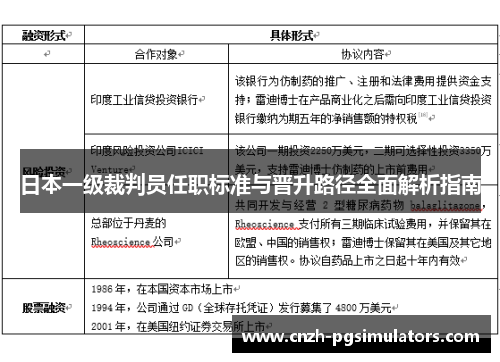 日本一级裁判员任职标准与晋升路径全面解析指南