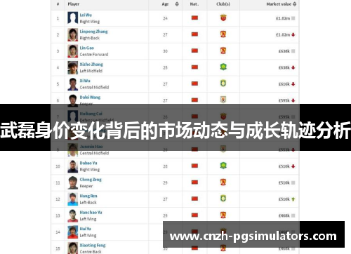 武磊身价变化背后的市场动态与成长轨迹分析