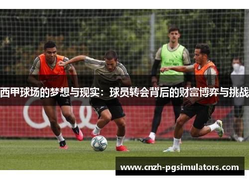 西甲球场的梦想与现实:球员转会背后的财富博弈与挑战 西甲球场的梦想与现实:球员转会背后的财富博弈与挑战