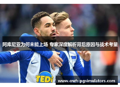 阿库尼亚为何未能上场 专家深度解析背后原因与战术考量
