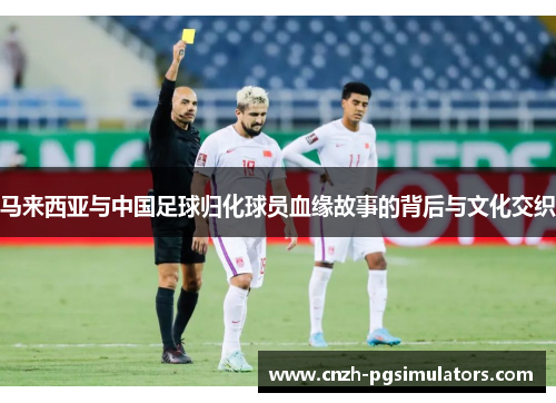 马来西亚与中国足球归化球员血缘故事的背后与文化交织 马来西亚与中国足球归化球员血缘故事的背后与文化交织