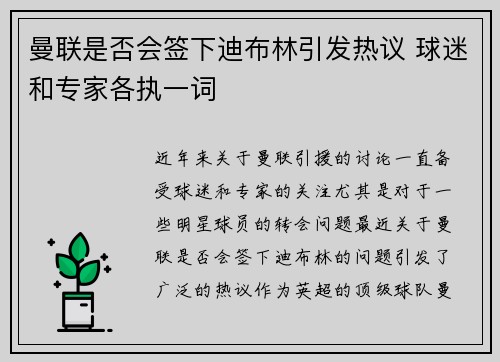 曼联是否会签下迪布林引发热议 球迷和专家各执一词