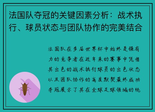法国队夺冠的关键因素分析：战术执行、球员状态与团队协作的完美结合